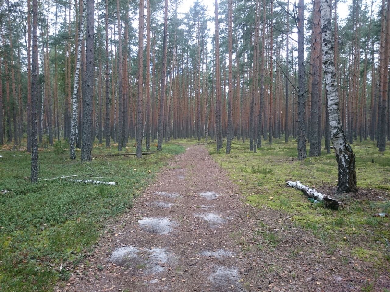 В самом центре Гримпенской трясины